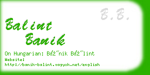 balint banik business card